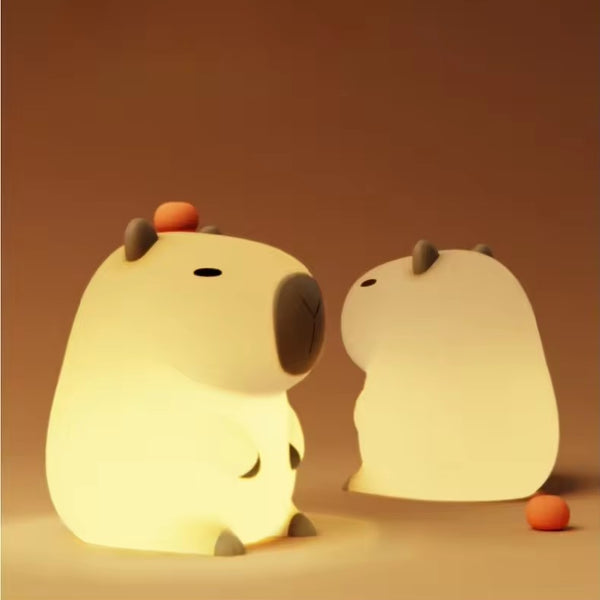 Special Offer - Get 2 Squishy Night Light for $59 + Free Shipping
